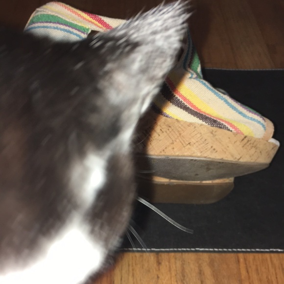 Canvas Espadrilles - Picture 7 of 8